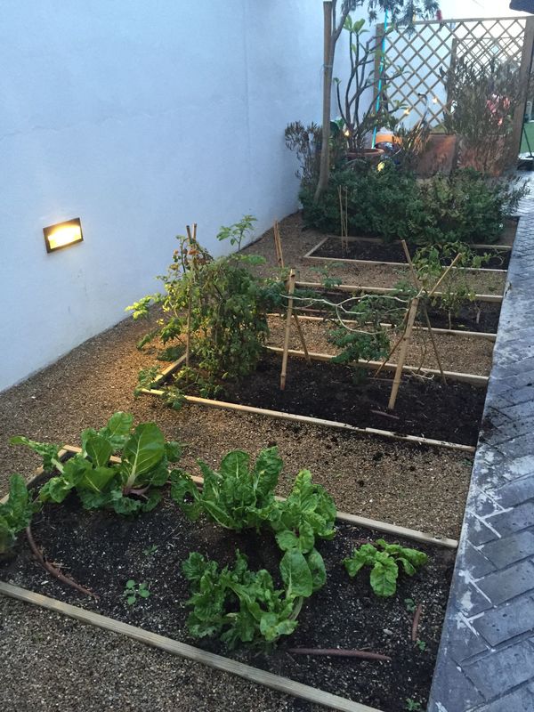 Vegetación Villa Mai